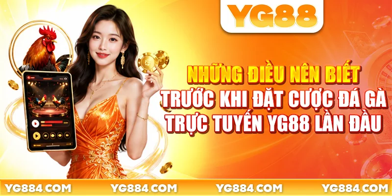 Những điều nên biết trước khi đặt cược đá gà trực tuyến YG88 lần đầu